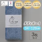 ふるさと納税 今治市 エアーかおる　ダディボーイ　エニータイムタオル　3枚　マウンテンブルー【I002230ST3MB】