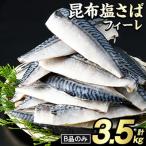 ふるさと納税 阿久根市 訳あり!昆布塩さばフィーレ B品のみ 約3.5kg 【グローバルフーズ】