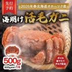 ふるさと納税 旭川市 【先行予約】北海道オホーツク産海明け活毛ガニボイル未冷凍チルド冷蔵配送500g前後×1尾_03499