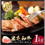 ふるさと納税 泉佐野市 A5/A4等級黒毛和牛サーロインステーキカット合計1kg(250g×4P)極味付け肉 CFX0060