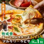 飛騨の牛乳屋さんのこだわりモッツァレラ