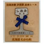 第2弾 日高本線廃線レール 厚さ1cm 品