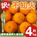 ふるさと納税 阿久根市 【先行予約2026年3月上旬〜発送】訳あり不知火(大将季)約4kg【古田果樹園】akn093-07