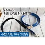 光るリード 蒼 40-16