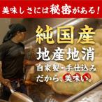 ふるさと納税 宮崎市 宮崎とんこつ・宮崎ぎょうざ満足セット
