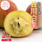 ふるさと納税 伊達市 《先行予約》 福島の桃 初夏の桃 日川白鳳 2kg(7〜10玉) 【斎藤果樹園】 F21C-023