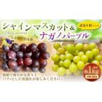 ふるさと納税 竹田市 【2025年度先行予約】粒パック訳ありシャインマスカット(約500g)&ナガノパープル(約500g)