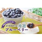 fu.... налог .. город рефрижератор голубика 500g Iwate префектура .. город .. еда ателье магазин 