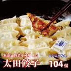 ふるさと納税 常陸太田市 無添加野菜を使用したなごみ家 冷凍生餃子 104個(にんにくなし 13個入×8パック)