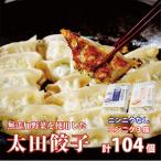 ふるさと納税 常陸太田市 無添加野菜を使用したなごみ家 冷凍生餃子104個(にんにく不使用&にんにく3倍各13個入×4パック)