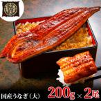 ふるさと納税 島田市 大五のうなぎ蒲焼 400g(200g×2尾) 国産うなぎ(大サイズ)