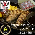おおいた和牛入ハンバーグ160g×6個 960g
