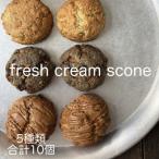 生クリームスコーン おまかせ5種10個セット