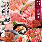 ふるさと納税 枕崎市 定期便(6回配送) 鹿児島県産うなぎ・黒毛和牛・黒豚・海の幸 HH5-0001