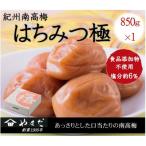 紀州南高梅はちみつ極塩分約6% 850g