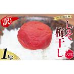 無選別紀州南高梅しそ 1kg