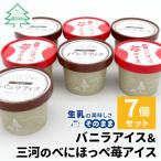 ふるさと納税 根羽村 マダガスカル産バニラアイスクリーム&べにほっぺ苺アイス　7個入り