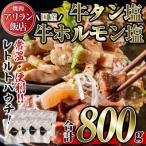 牛タン塩 牛ホルモン塩 計800g