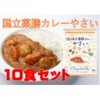 30種のスパイスを使用 国立薬膳カレーやさい 200g×10食セッ…