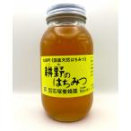 耕野のはちみつ1200g 里山の木々 1本