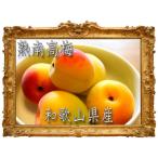 和歌山熟南高 生梅 大玉4Lサイズ 約2kg秀優品混合