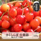 ふるさと納税 尾花沢市 さくらんぼ 佐藤錦 秀Lサイズ 500g バラ詰め 2025年産 山形県産