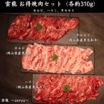 雲龍 焼肉セット930g カルビ ハラミ 牛セセリ