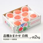 ふるさと納税 山辺町 白桃 品種おまかせ 秀品程度 約2kg(4〜9個程度) 山形県産 tf-moyws2