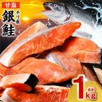 ふるさと納税 八代市 【人気急上昇中!】銀鮭 切り身 合計1kg【海鮮太郎】