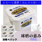 球磨の恵ヨーグルト 加糖 4kg