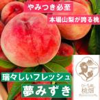 山梨オリジナル桃ココだけの品種1kg 2027年7月上旬~発送