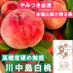 大玉の品種1kg