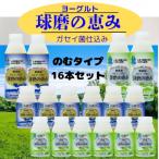 球磨の恵みドリンクセット
