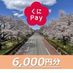 デジタル地域通貨 くにPay 6,000ポイント