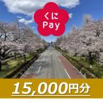 デジタル地域通貨 くにPay 15,000ポイント