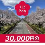 デジタル地域通貨 くにPay 30,000ポイント