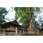 ふるさと応援寄付金 1 000円