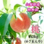 ふるさと納税 山梨市 厳選朝採り桃 山梨の笠井桃園の桃 約2kg