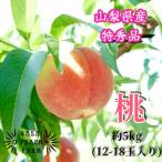 ふるさと納税 山梨市 厳選朝採り桃 山梨の笠井桃園の桃 約5kg