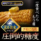 最高糖度20度オーバー幻の<富士信玄とうもろこし> 約…