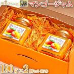 無添加 贅沢マンゴージャム 190g×2個セット