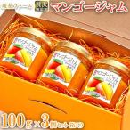 無添加 贅沢マンゴージャム 100g×3個セット