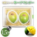 秀品 キーツマンゴー 1.5kg以上