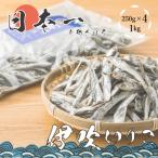 伊吹いりこ 大羽 カタクチイワシ 伊吹島産