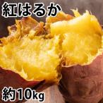 紅はるか 秀品 約10kg