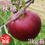 産りんご 秋映 3kg箱