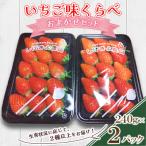 ふるさと納税 防府市 いちご味くらべ おまかせセット(各パック240g×2(2種類以上))