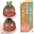 つちだくん2個セット