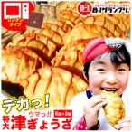津ぅのご当地 津ぎょうざ 90g6個入り×3箱