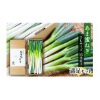 fu.... налог Цу город .. меласса лук порей полный пар комплект [ длина лук-батун ][53720334]